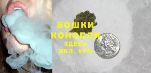 тгк Снежногорск