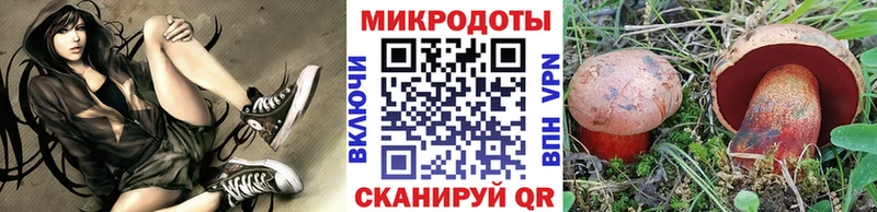 МЕГА ссылка  Болохово  Галлюциногенные грибы Psilocybine cubensis 
